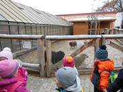 Vánoční výlet - Ekocentrum Mladá Boleslav